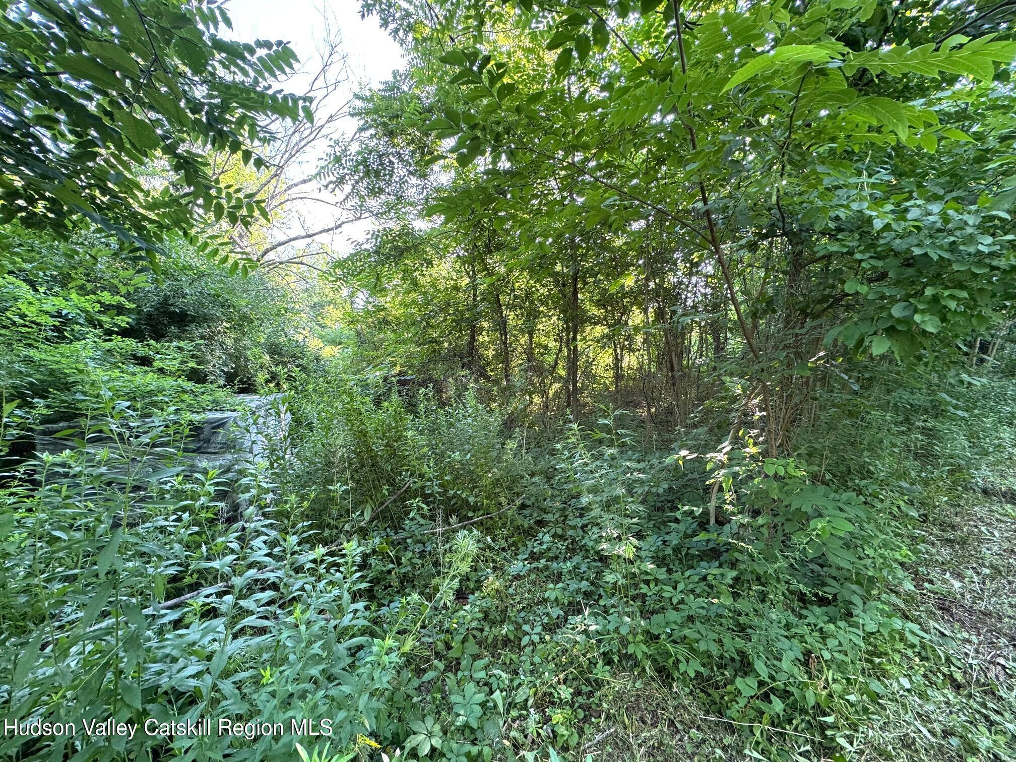 2984 Route 32