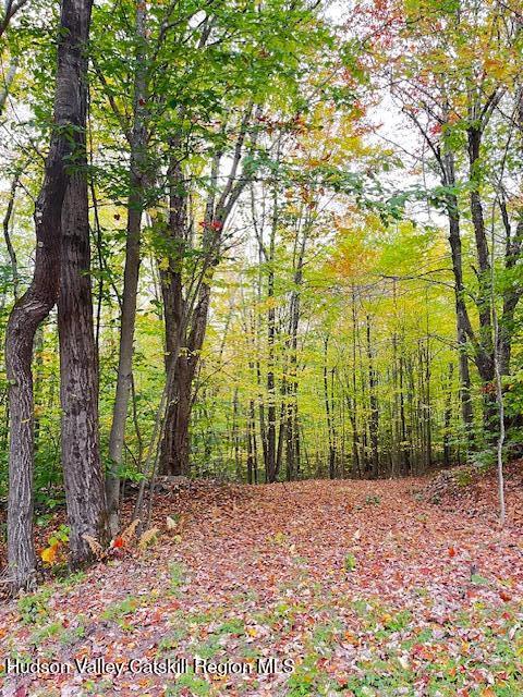 Wooded property with a leaf-covered path winding beneath autumn trees.