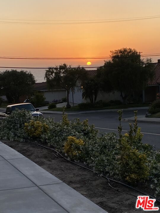 306 Calle De Arboles