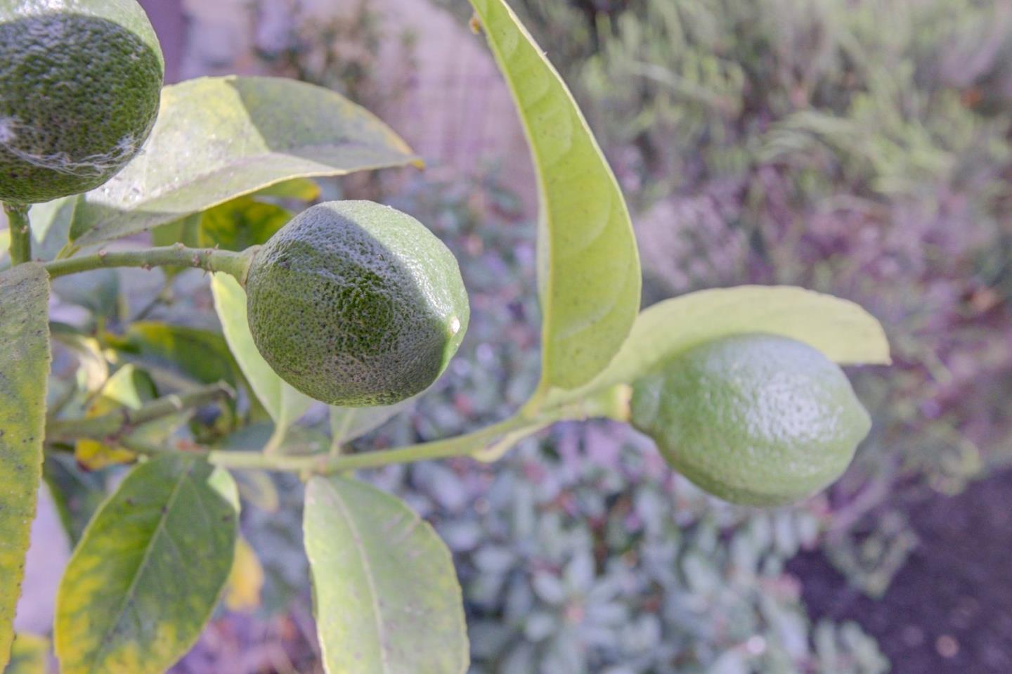 5535 Civic Terrace AVE