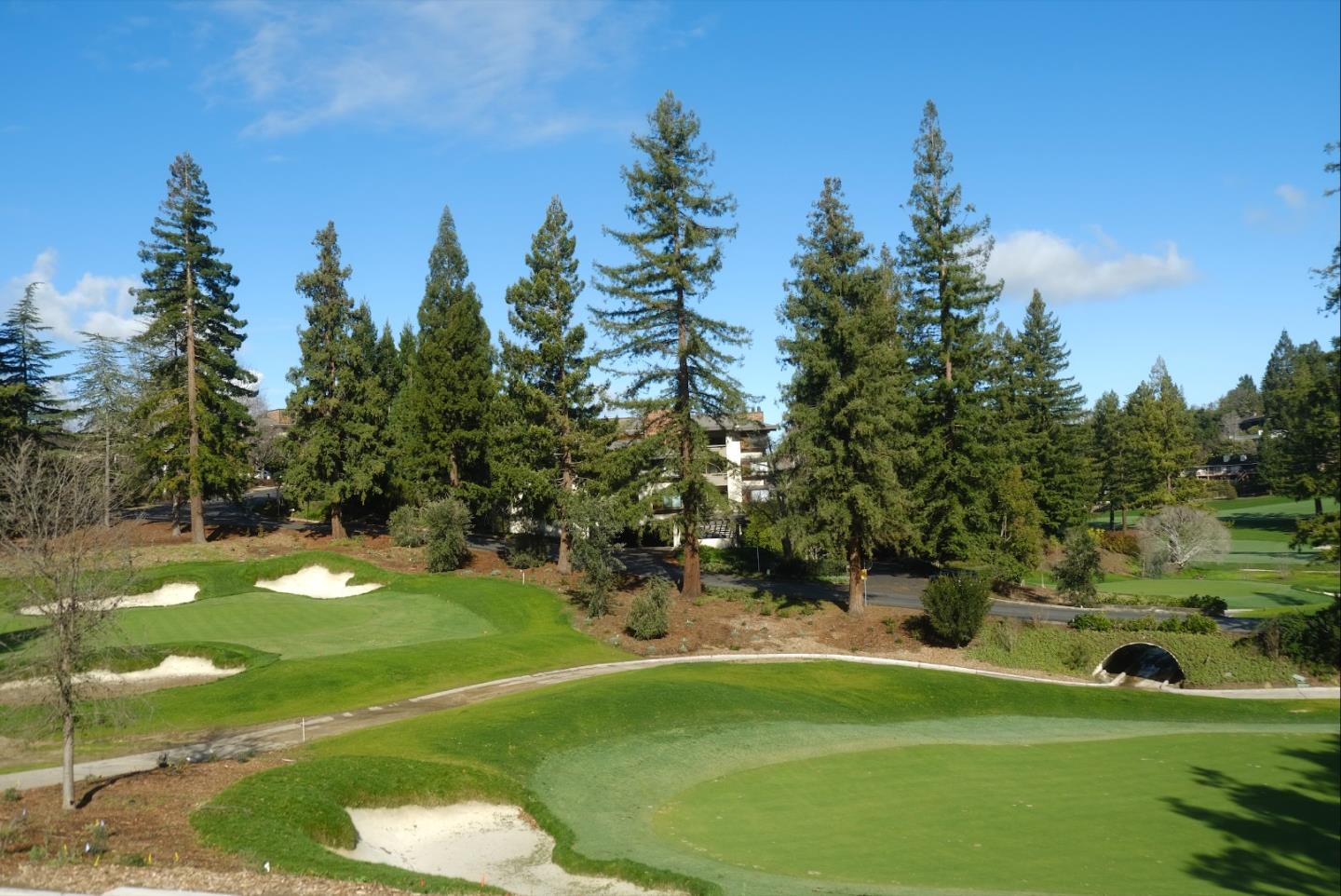 1100 Sharon Park Drive Unit: 40