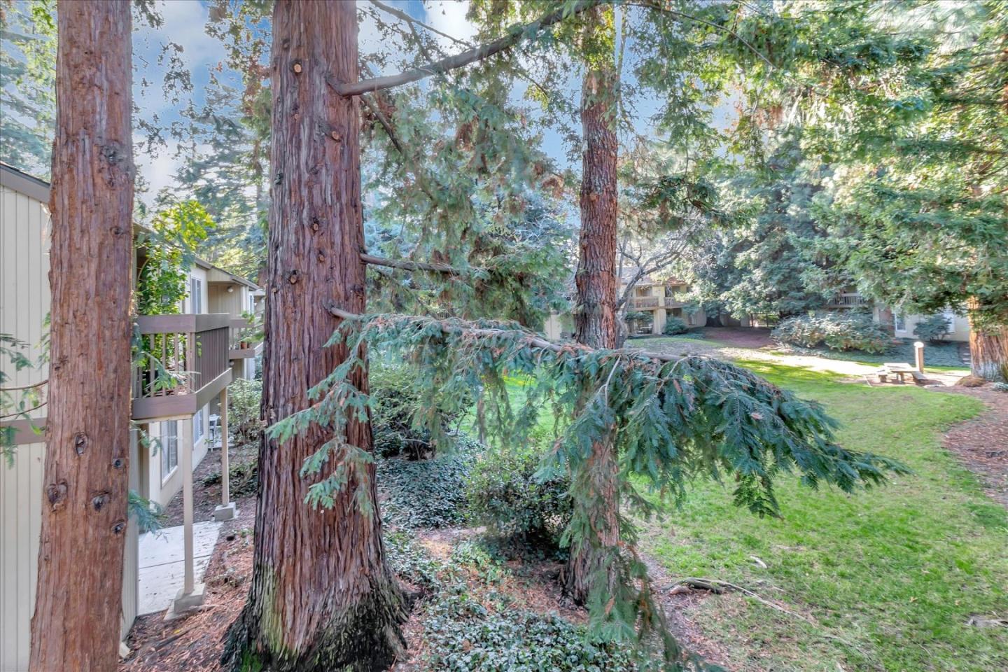 505 Cypress Point DR 44