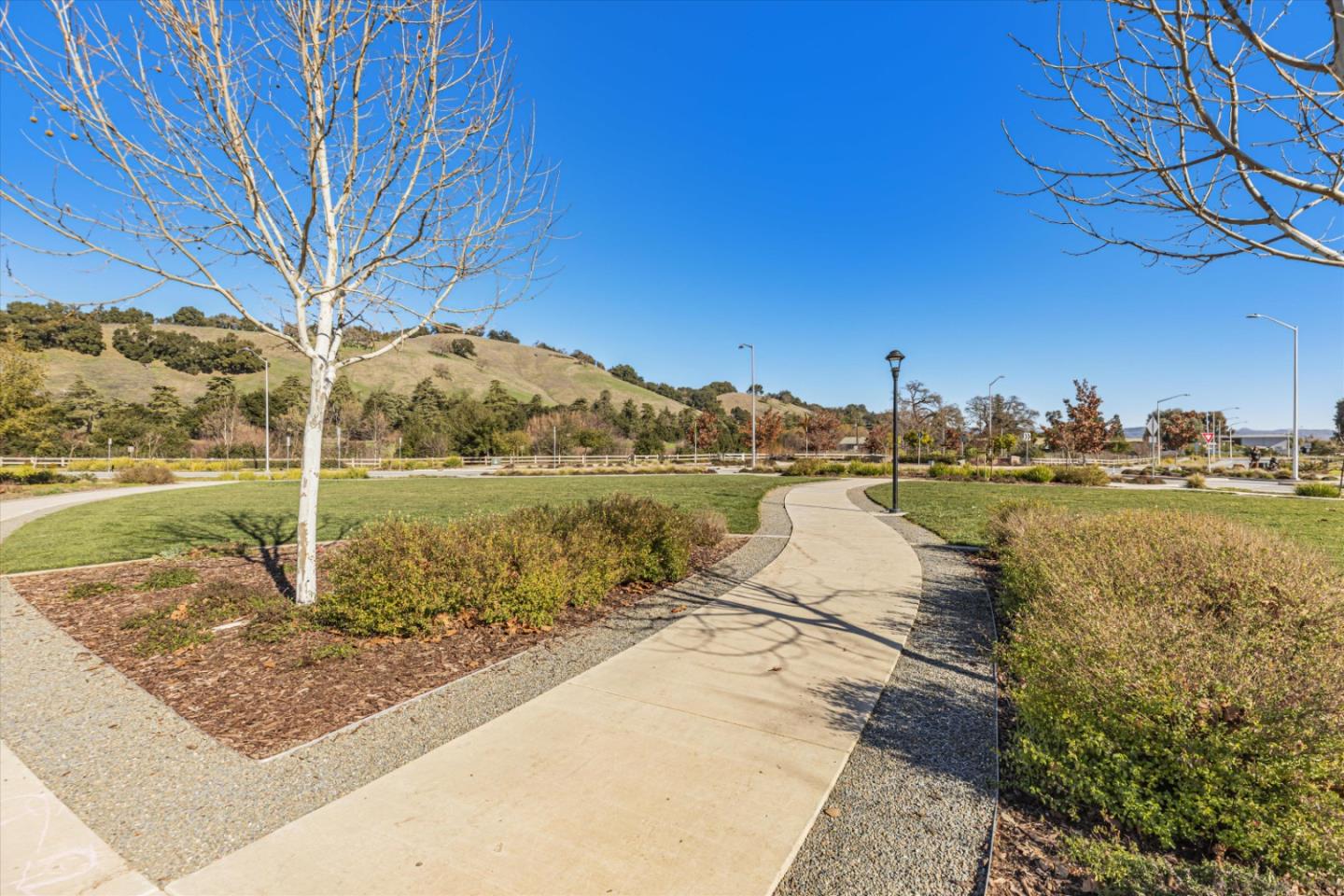 2460 Apple Tree Way