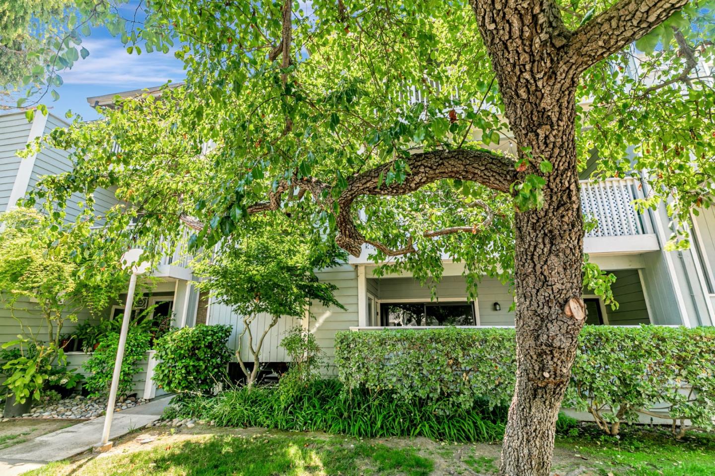 3550 Buttonwood TER 113
