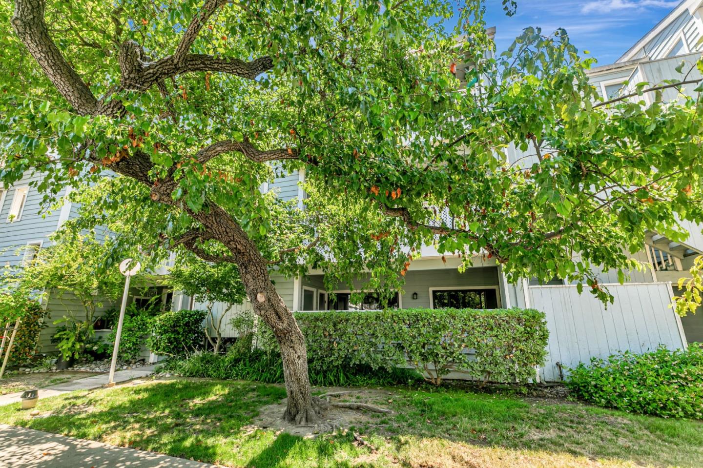 3550 Buttonwood TER 113
