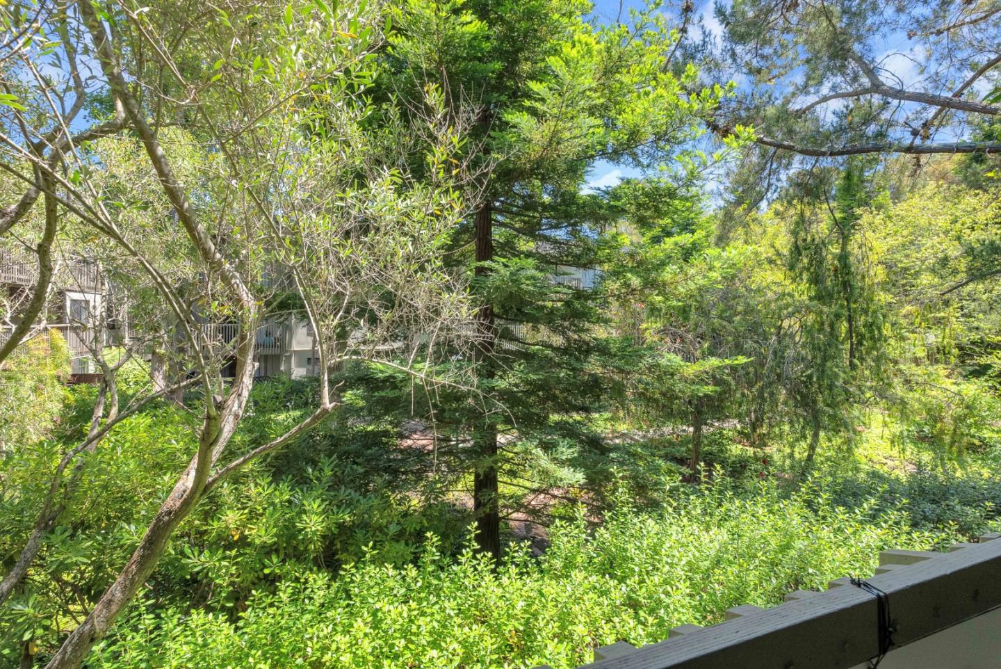 5202 Shelter Creek Lane
