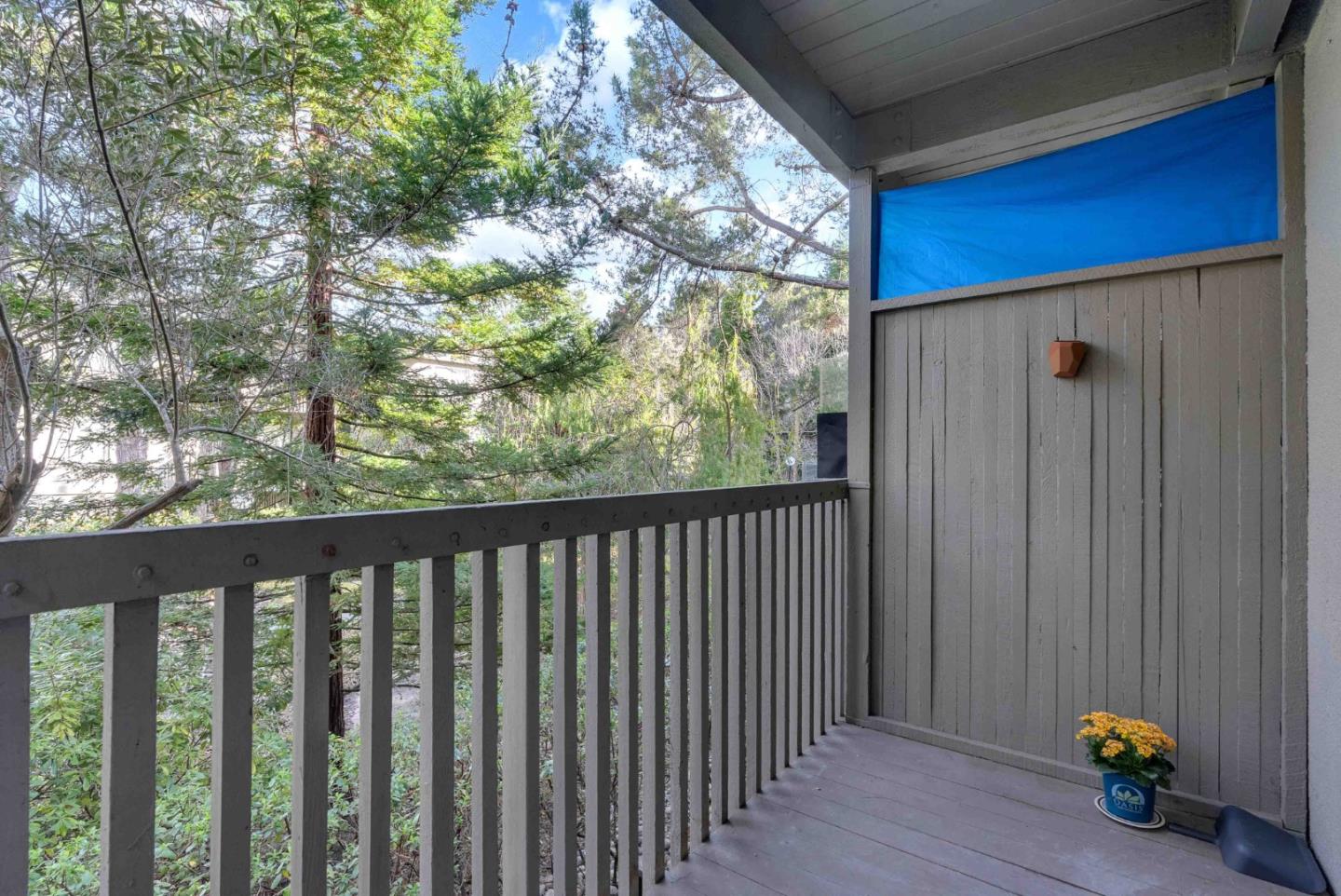 5202 Shelter Creek Lane