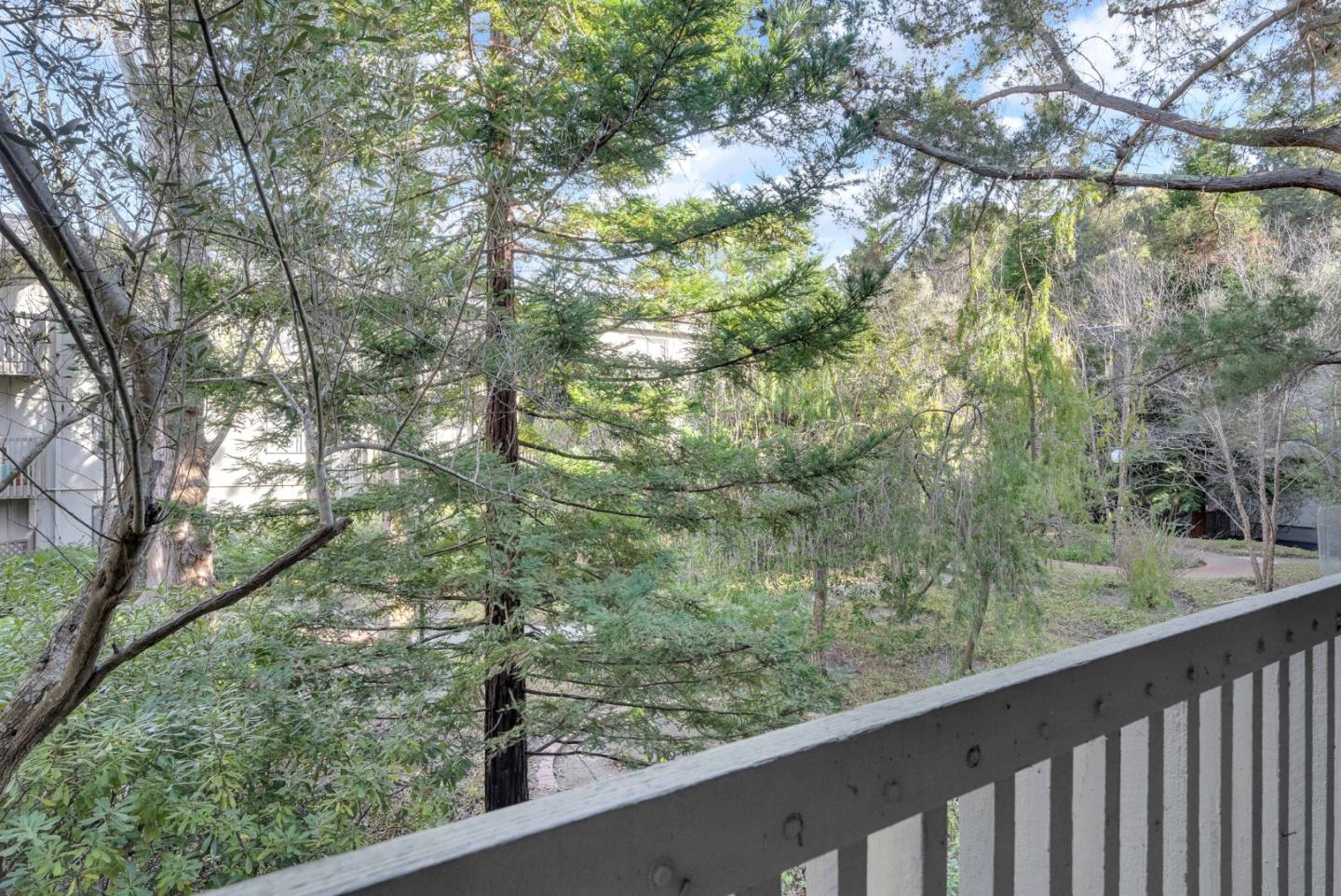 5202 Shelter Creek Lane