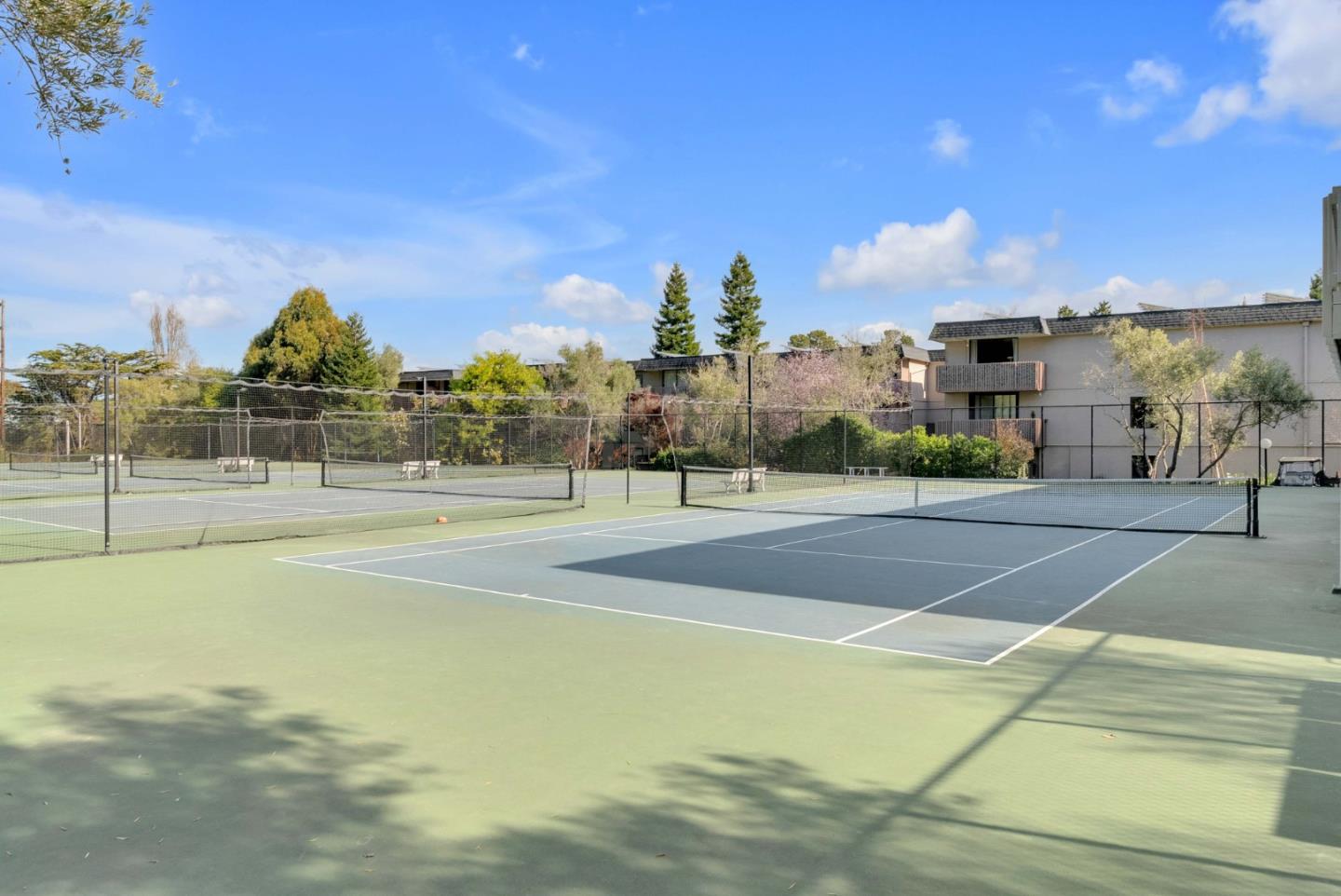 5202 Shelter Creek Lane