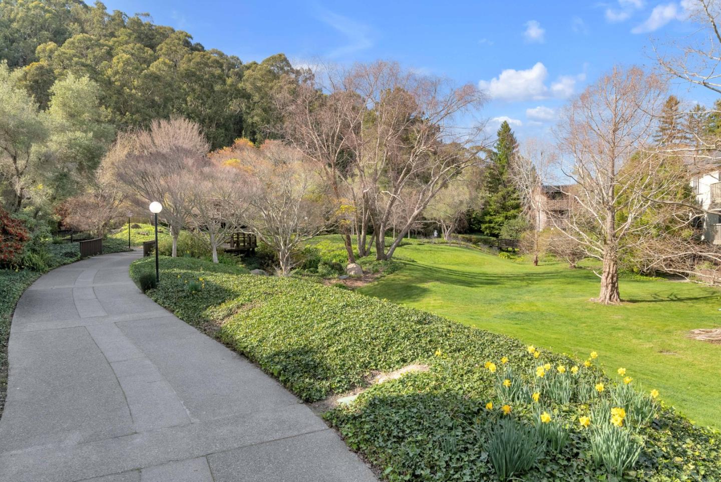 5202 Shelter Creek Lane