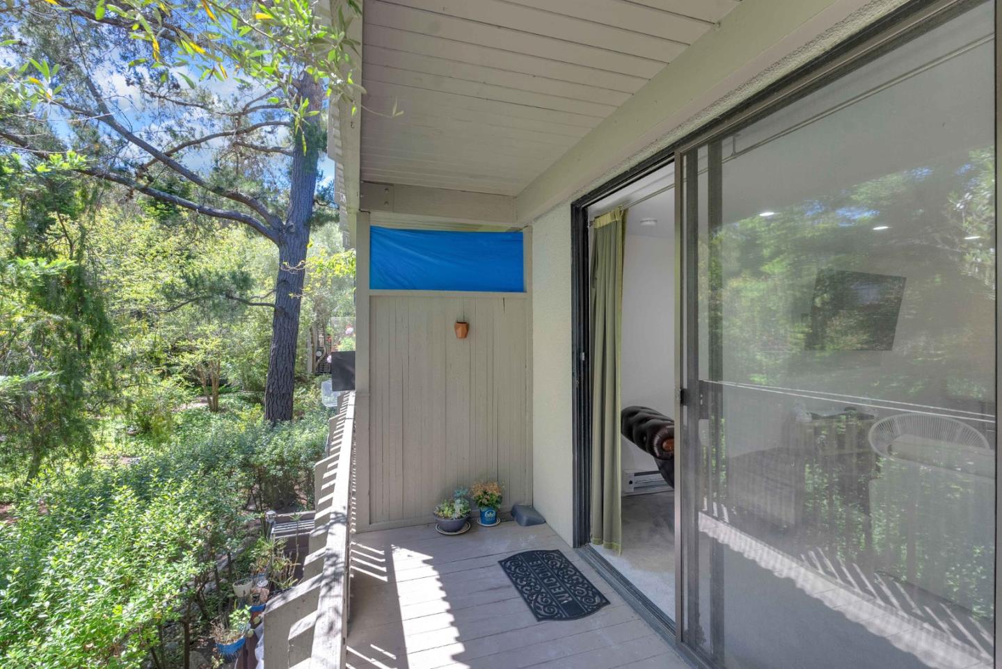 5202 Shelter Creek Lane