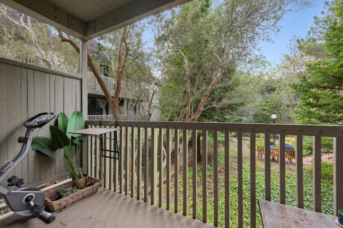 5232 Shelter Creek Lane