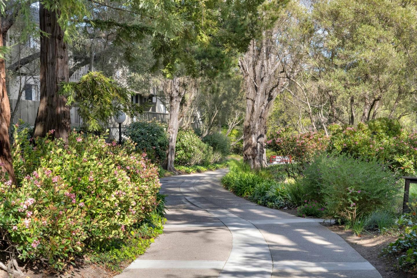 5232 Shelter Creek Lane