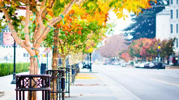 100 E Middlefield Road # 6G