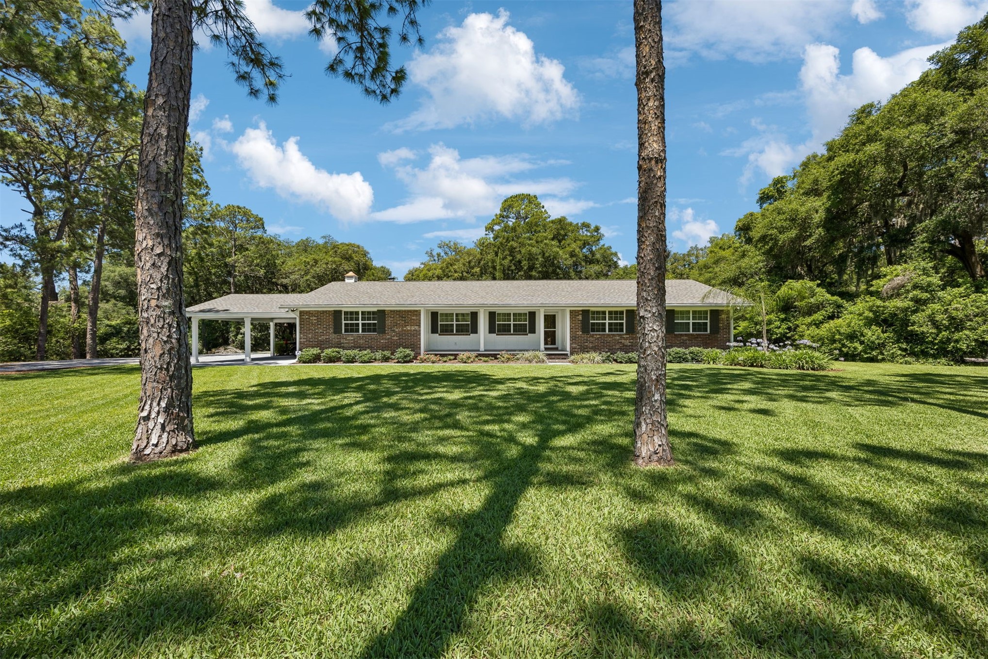 1655 CLINCH DRIVE