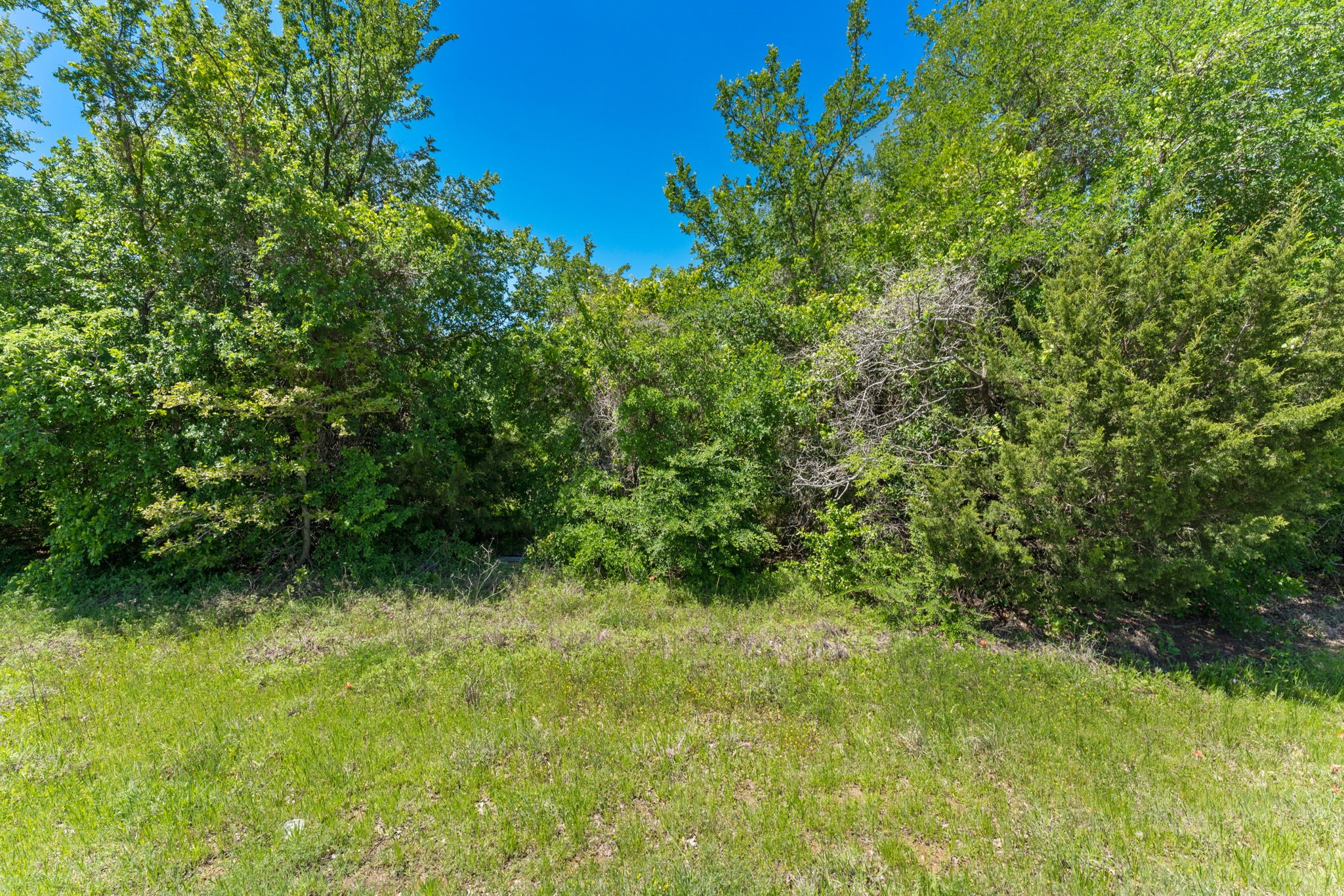 8801 Indian Knoll Trail