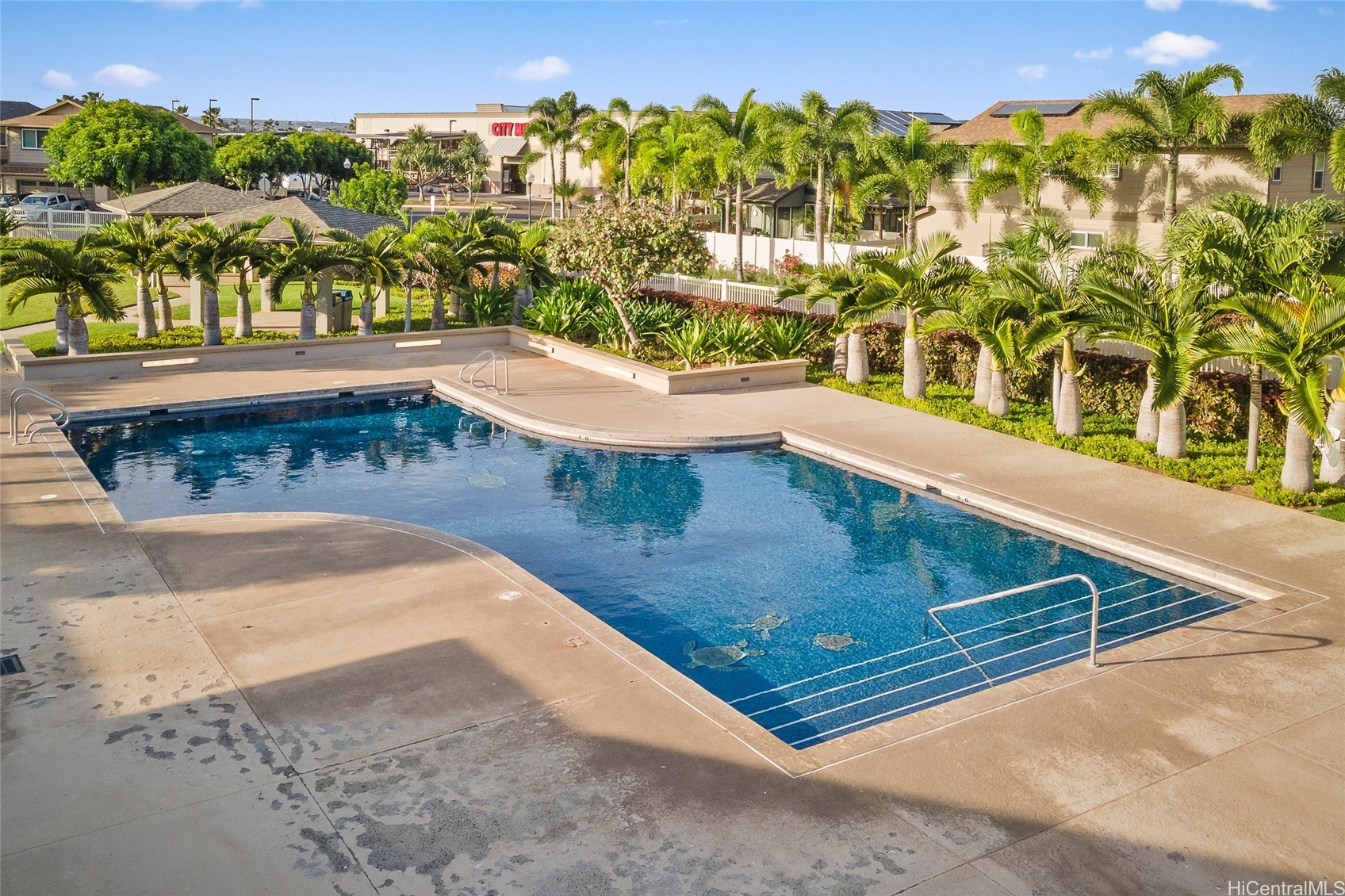 Community swimming pool with a wide concrete deck and palm trees around it.