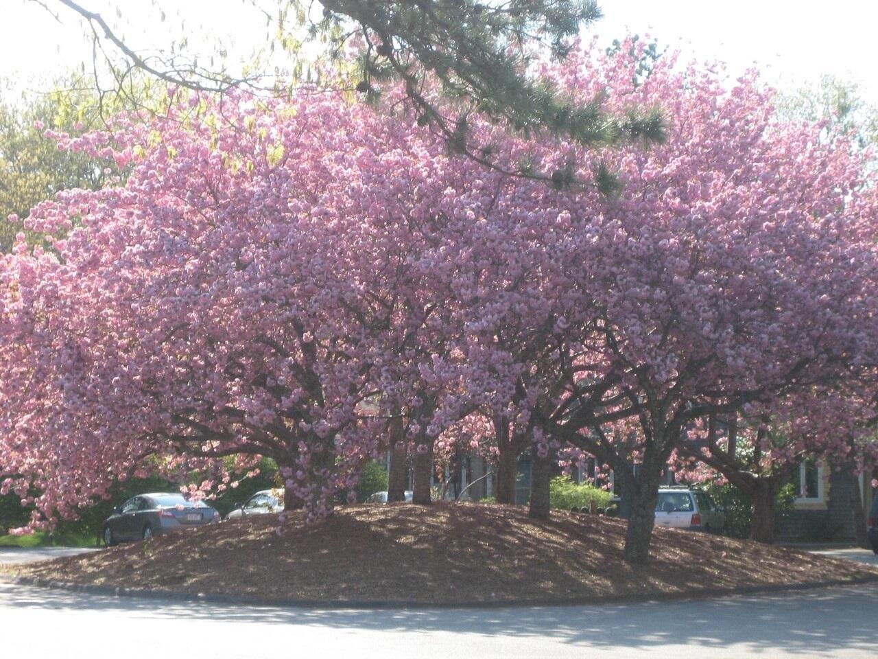 100 Falmouthport Drive