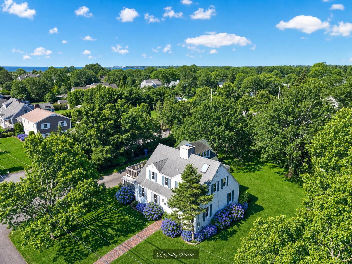 41 Belvidere Road