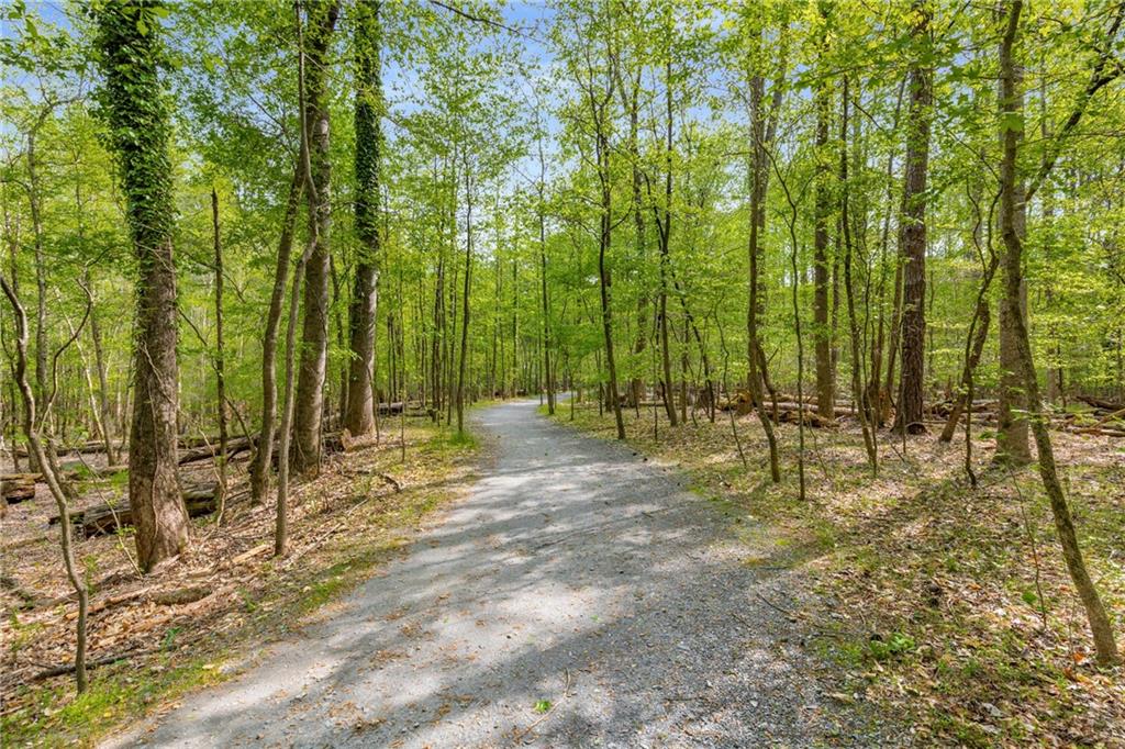 2240 Six Branches Drive