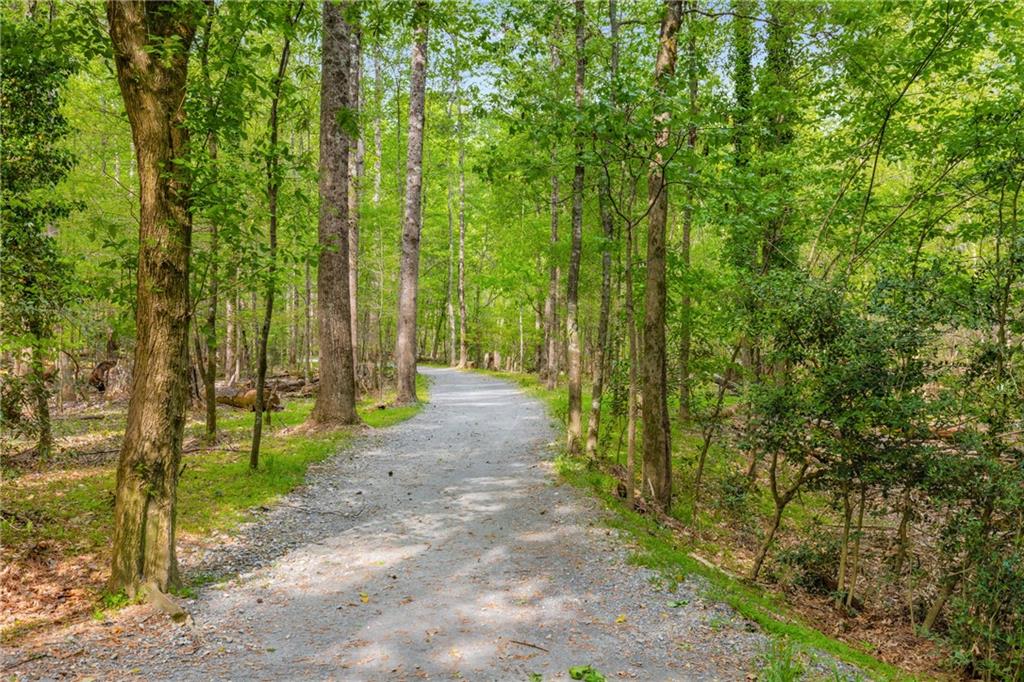 2240 Six Branches Drive