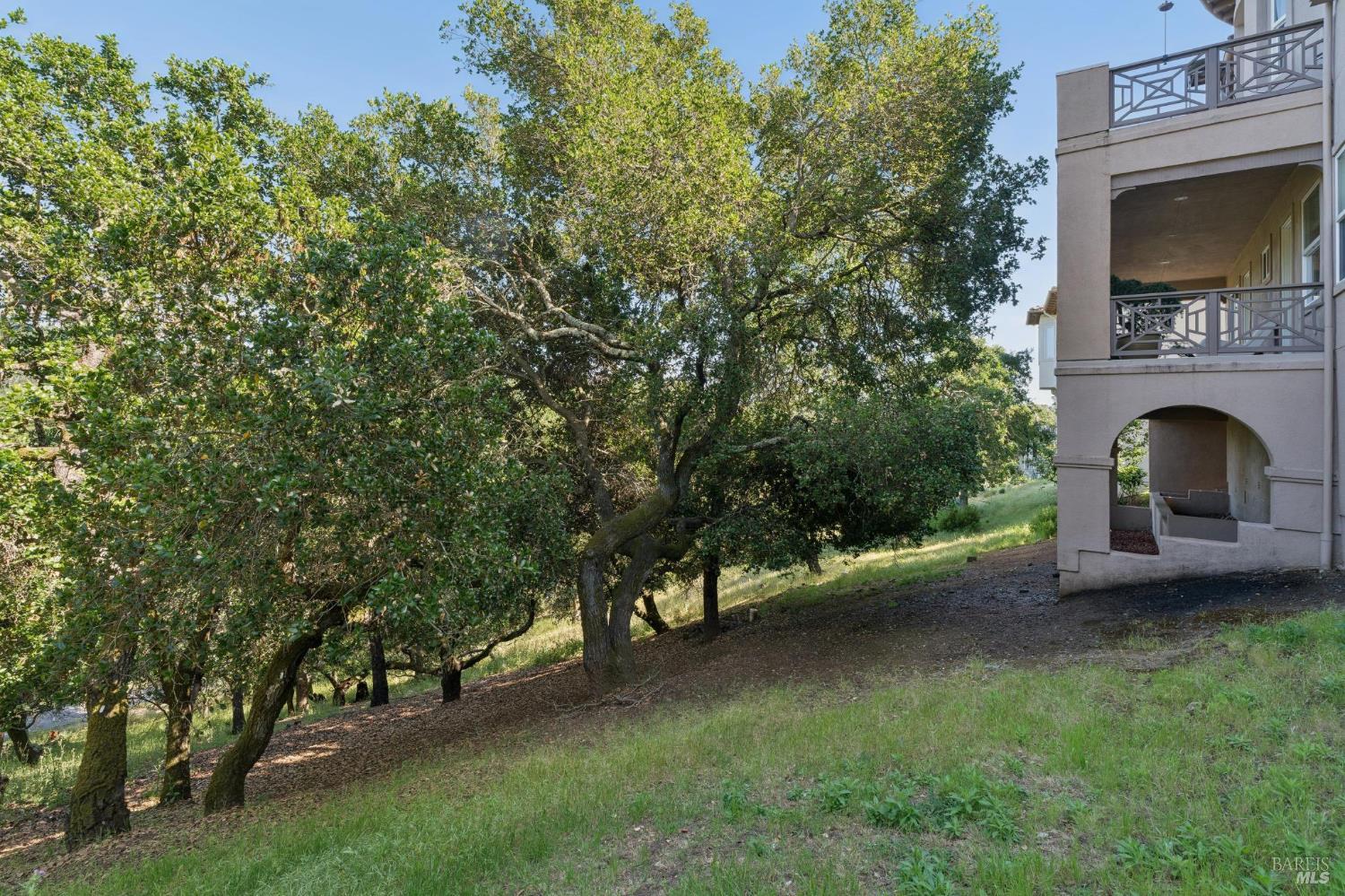 115 Stonetree Lane