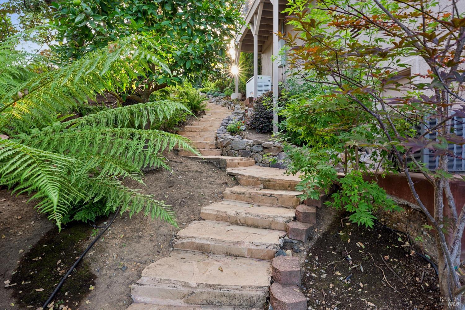 115 Stonetree Lane