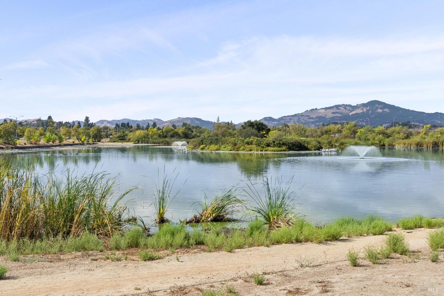 1263 Valley Oak Court Unit: #D