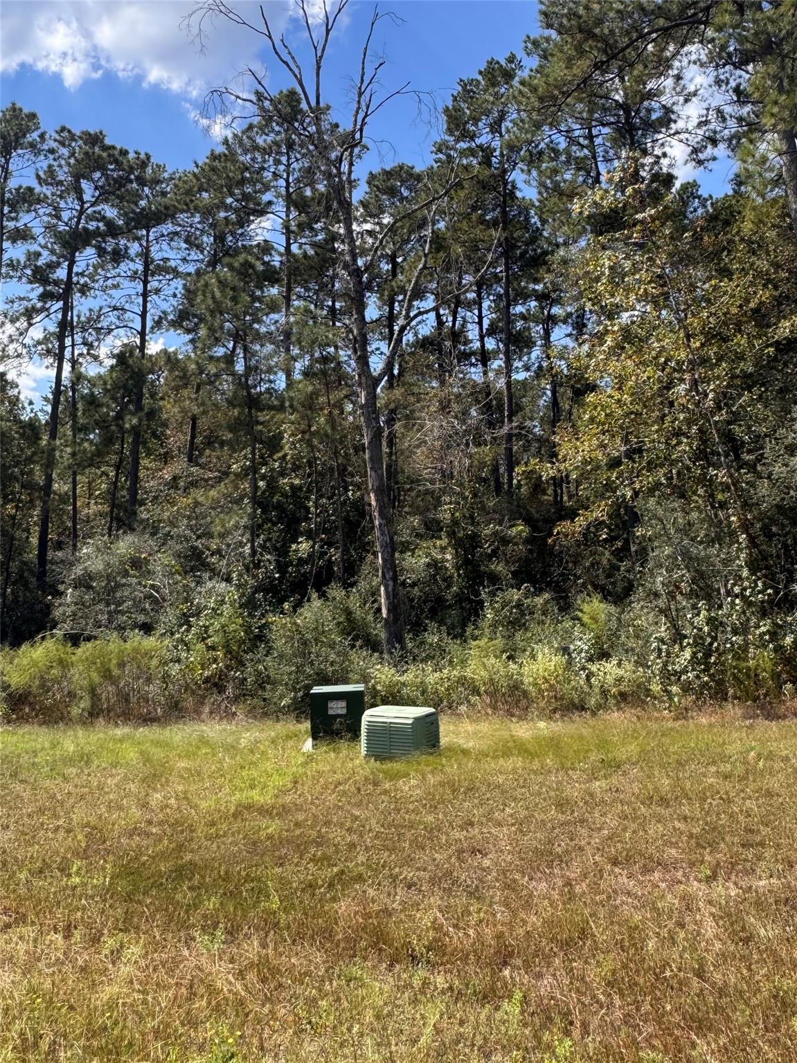 15863 Wood Grove Way