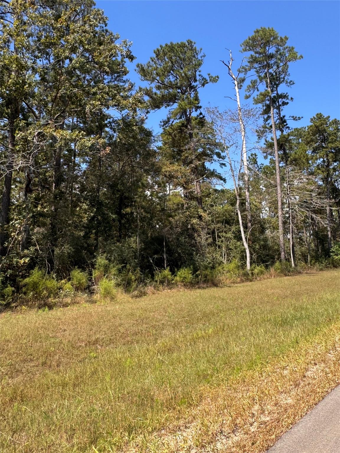 15863 Wood Grove Way