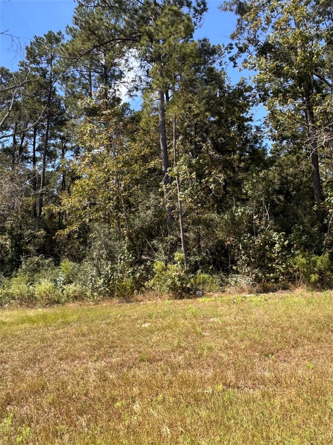 15863 Wood Grove Way