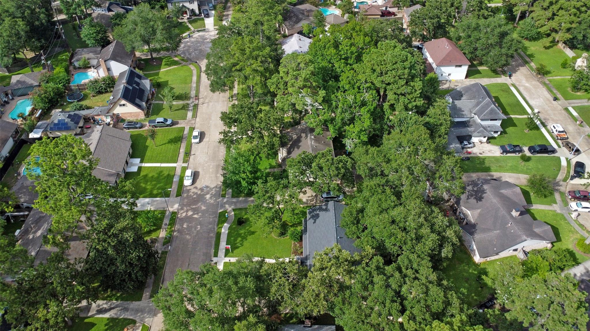 12523 Campsite Trail