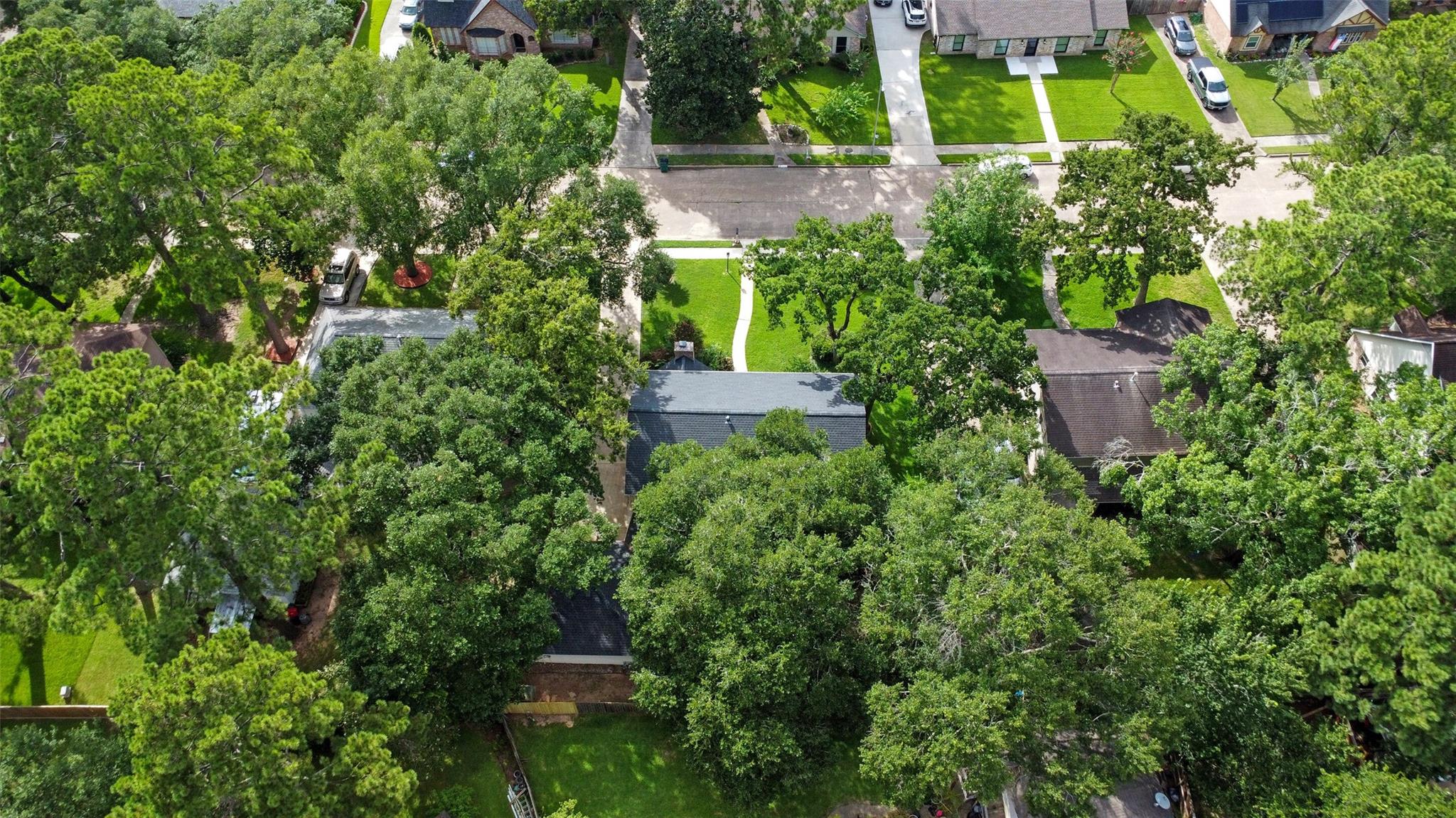 12523 Campsite Trail