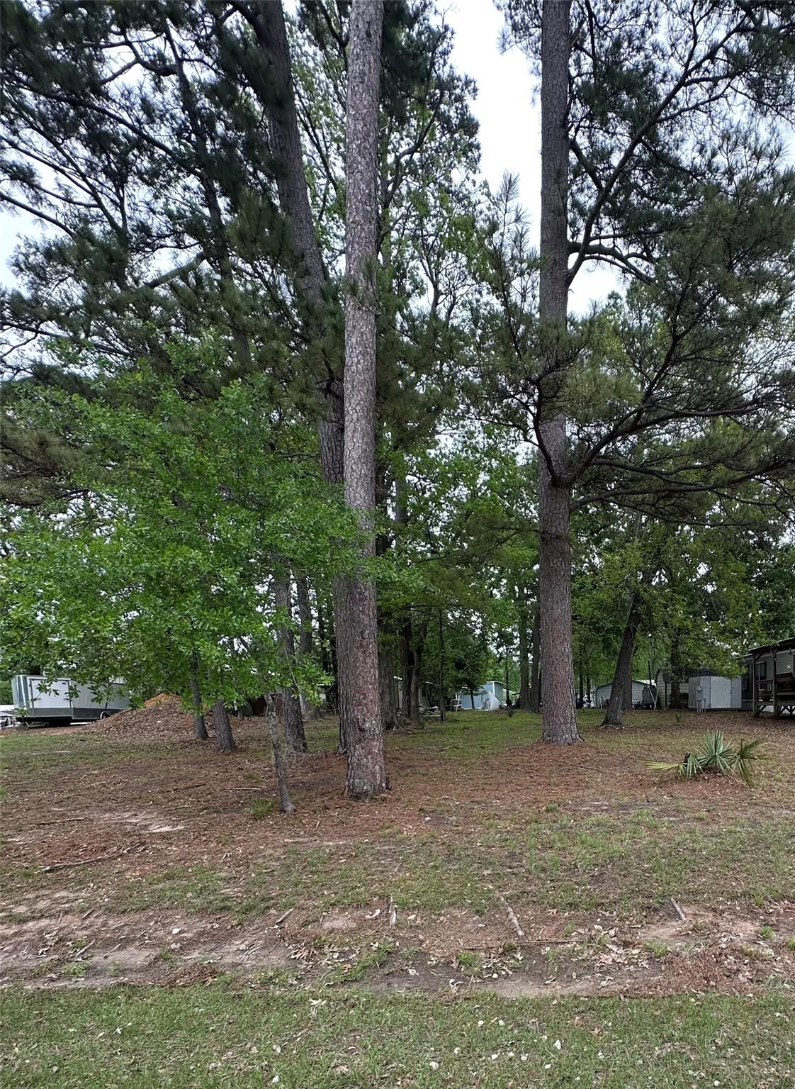 180 Holly Trail