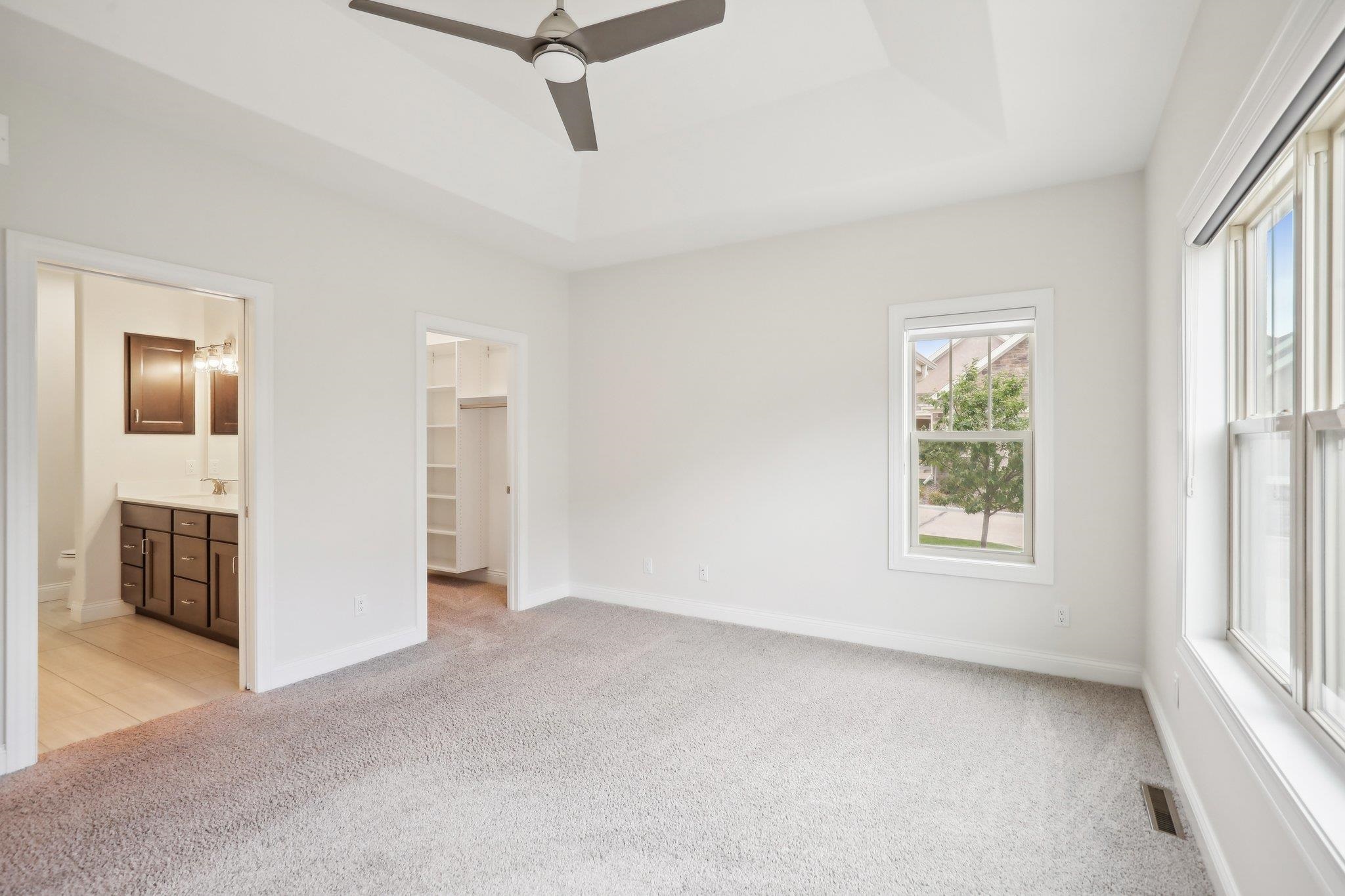 909 Castle Stone Pass