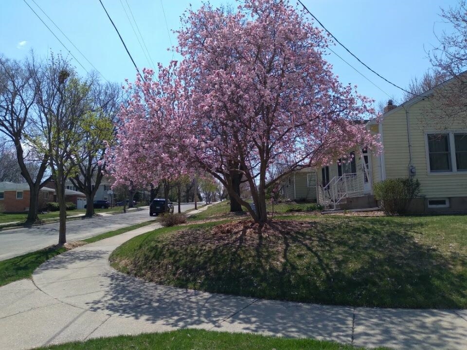 502 Orchard Drive