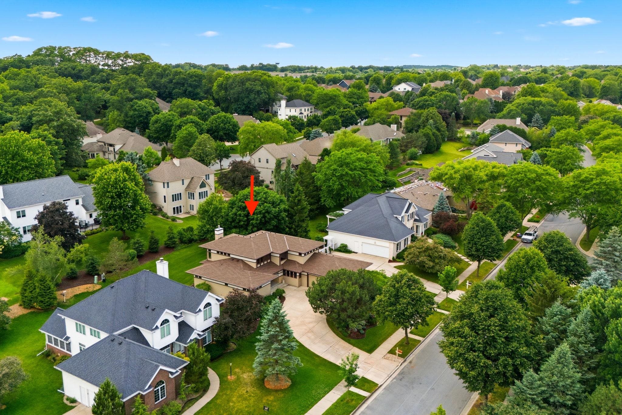 8901 Timber Wolf Trail