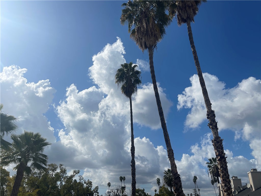 125 N Allen Avenue 208