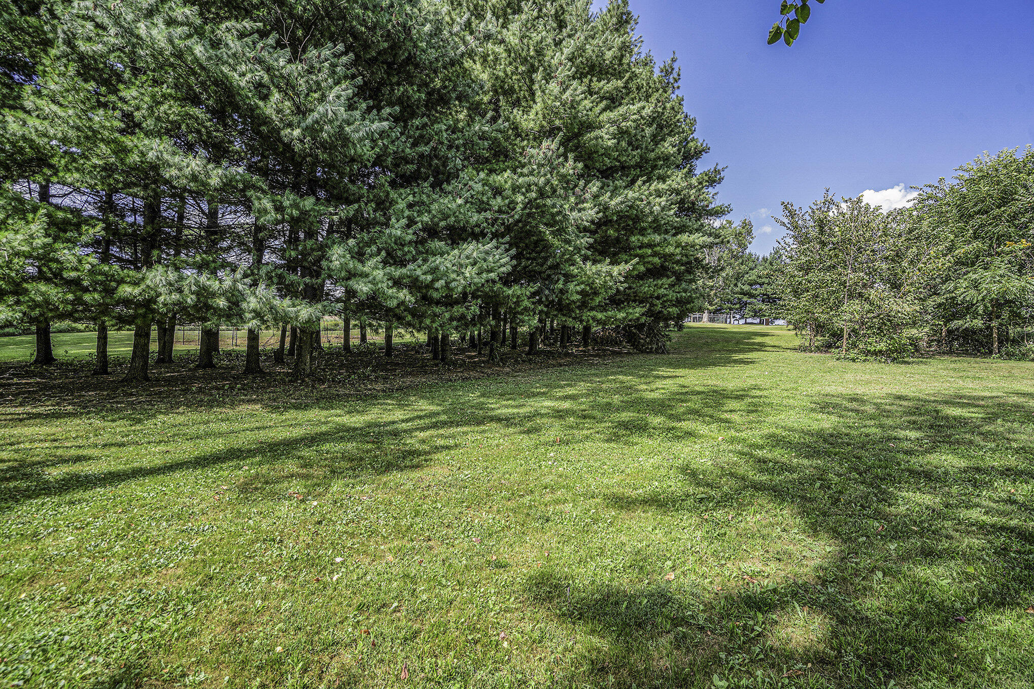 52723 Lewis Lake Road