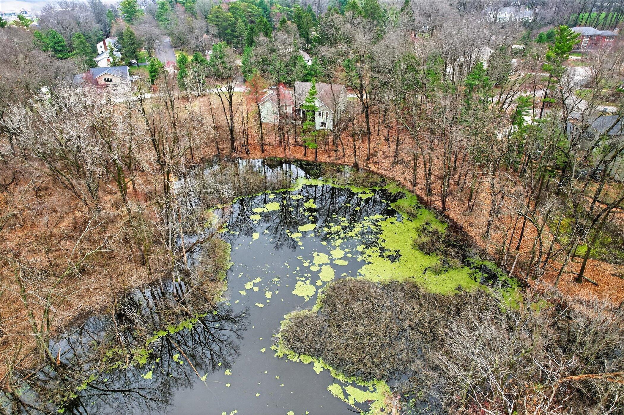 2214 Shelter Pointe Drive