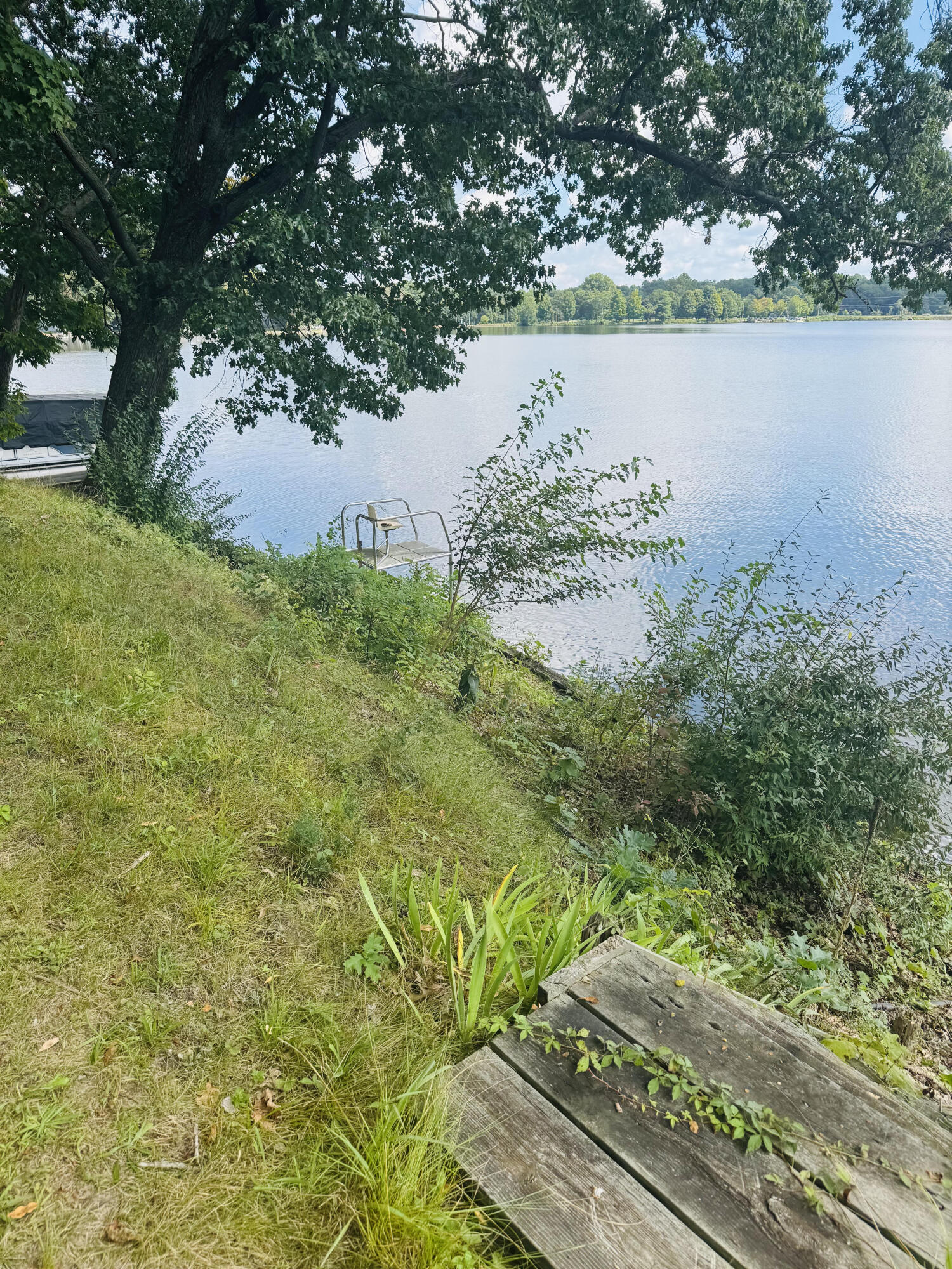 Tree-shaded lakeshore with a wooden platform, metal swim platform, and boat beside calm water.