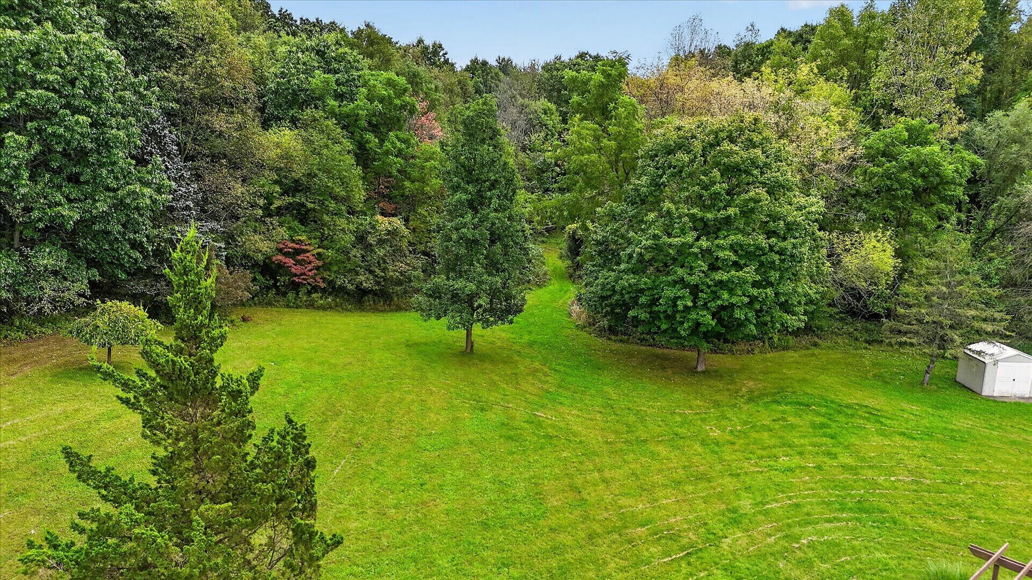 Aerial view of a spacious lawn bordered by mature trees, with a small white shed.