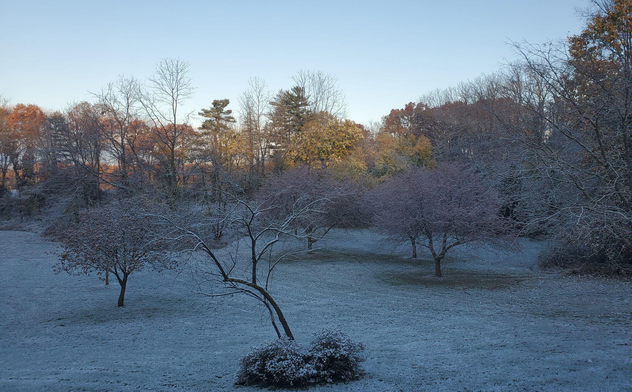 Frost-covered lawn with scattered trees and autumn woodland beyond.