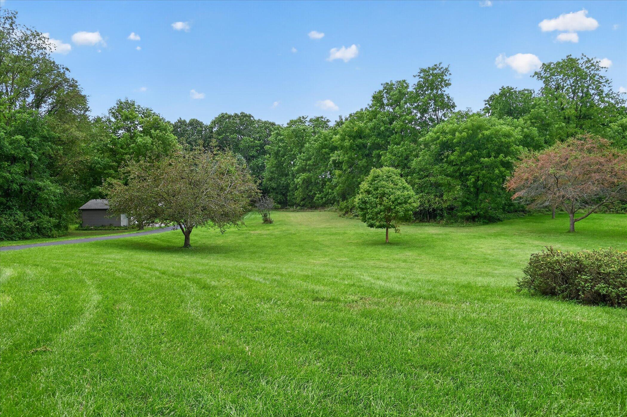 Spacious green lawn with scattered trees, a curving driveway, and a small outbuilding.