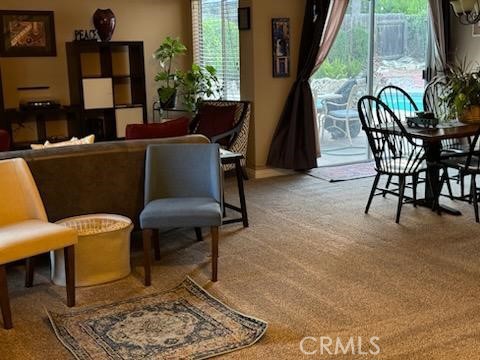 1320 Nettleton Court