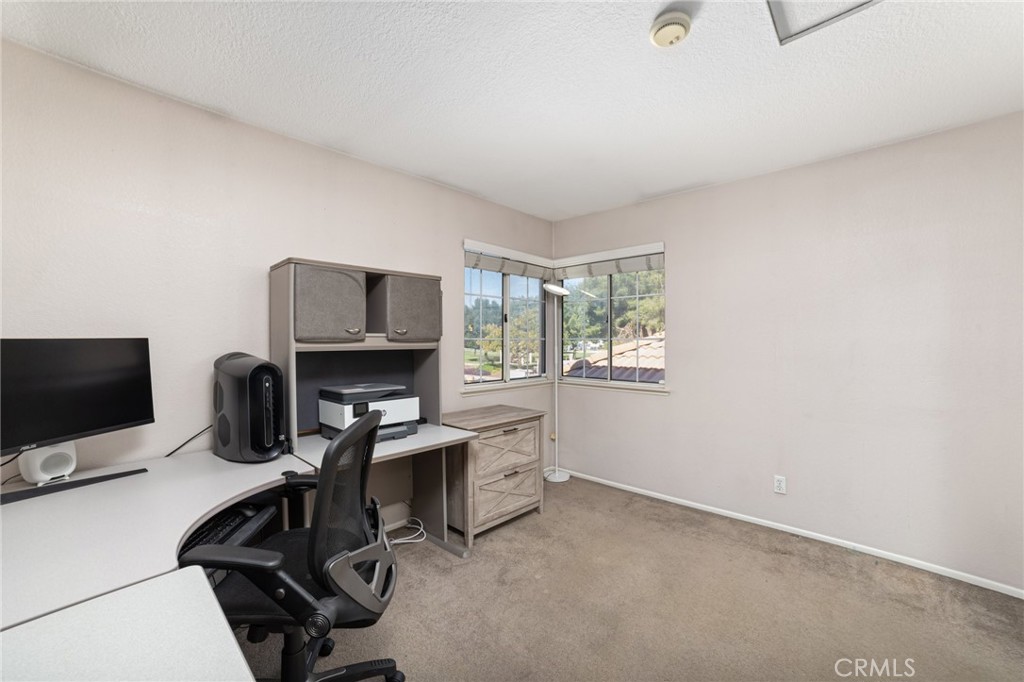 4203 Torrey Pines Drive