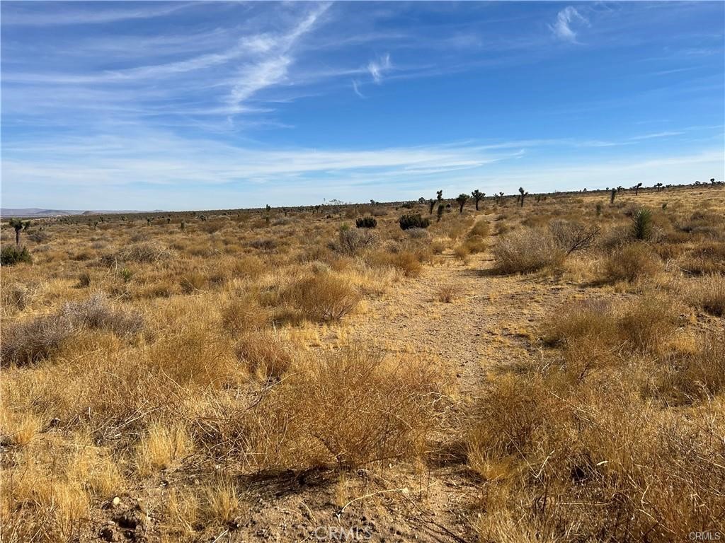 8 Fort Tejon Road