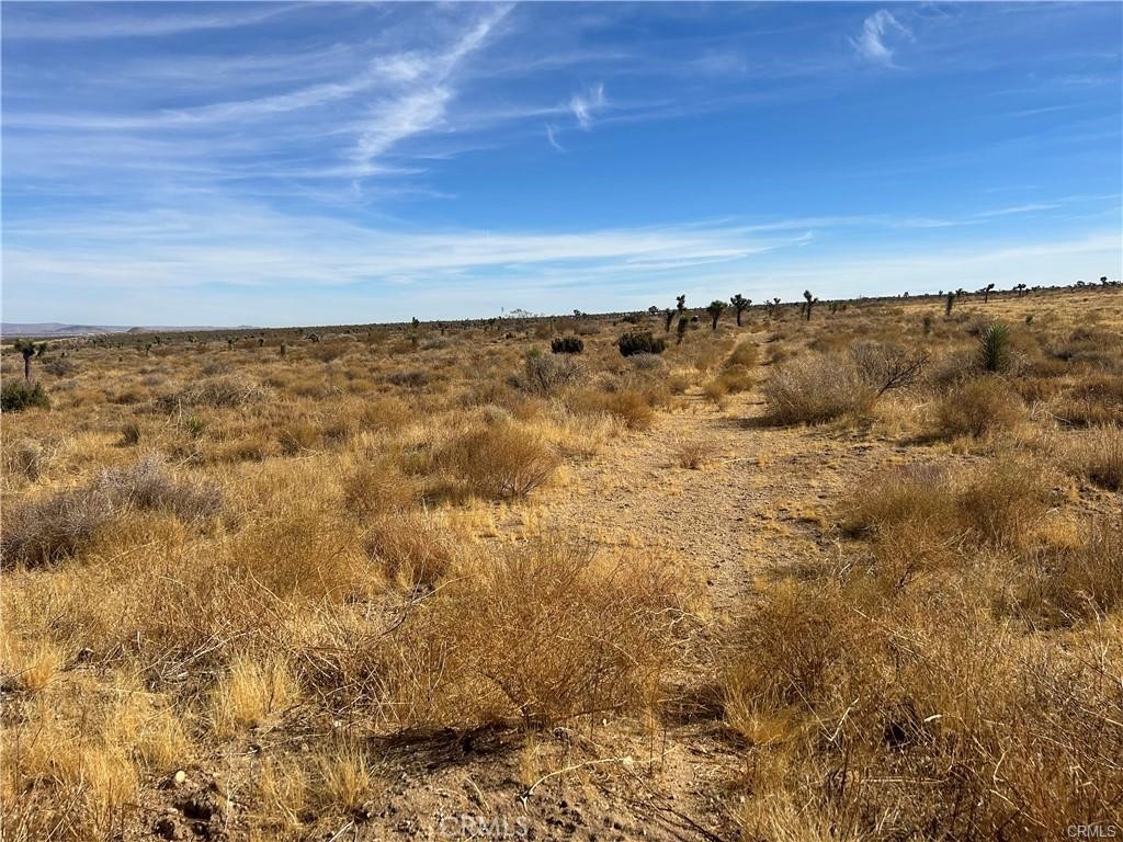 8 Fort Tejon Road