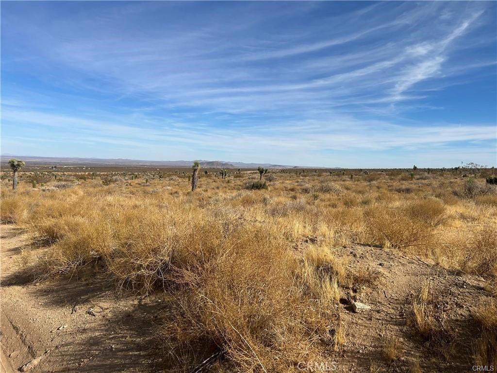 8 Fort Tejon Road