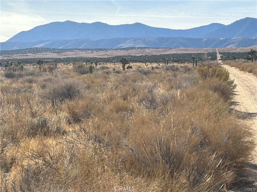 8 Fort Tejon Road